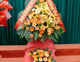 ANHS4720.jpg
